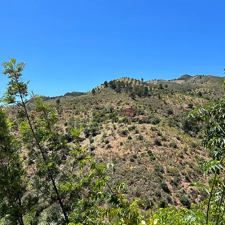Villa Cortijo Vacas Gordas