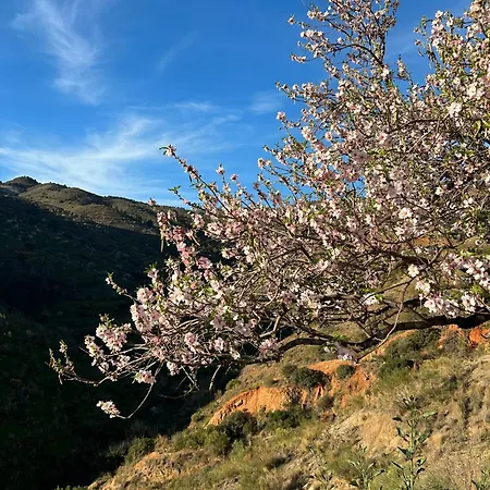 Cortijo Vacas Gordas Villa